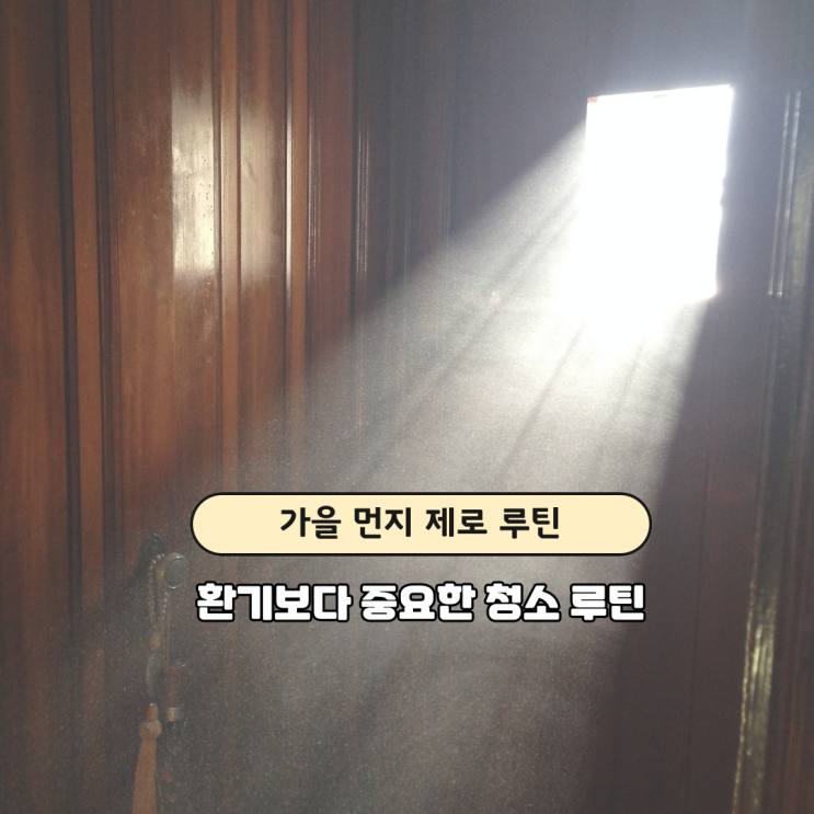  집먼지 제거 루틴 완벽정리｜가을철 알레르기 대비 청소법