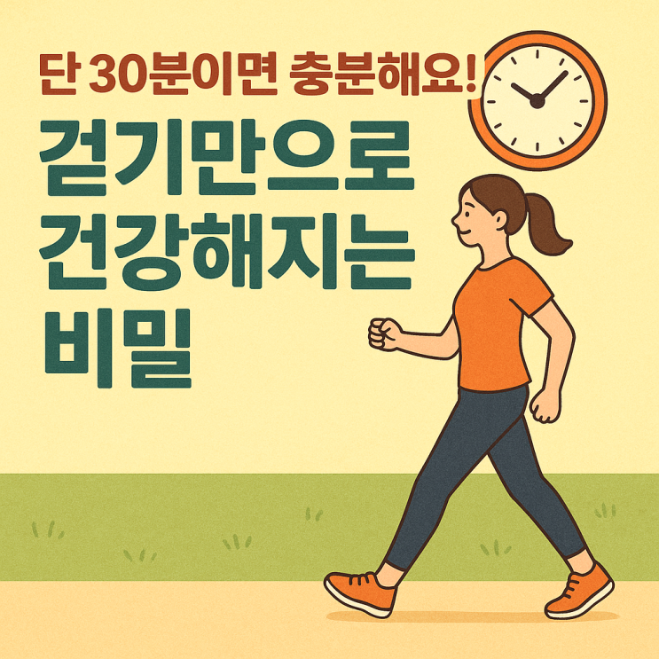  ️ 하루 30분 걷기, 건강을 바꾸는 가장 쉬운 습관