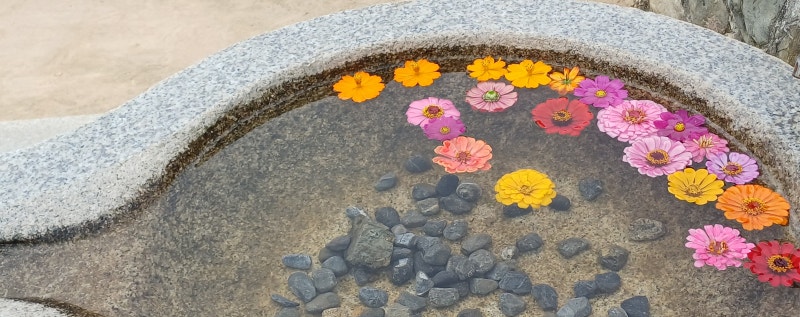 사진 3