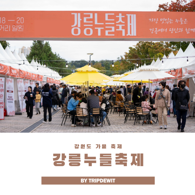  2025 강릉누들축제 일정 주차 볼거리 총정리