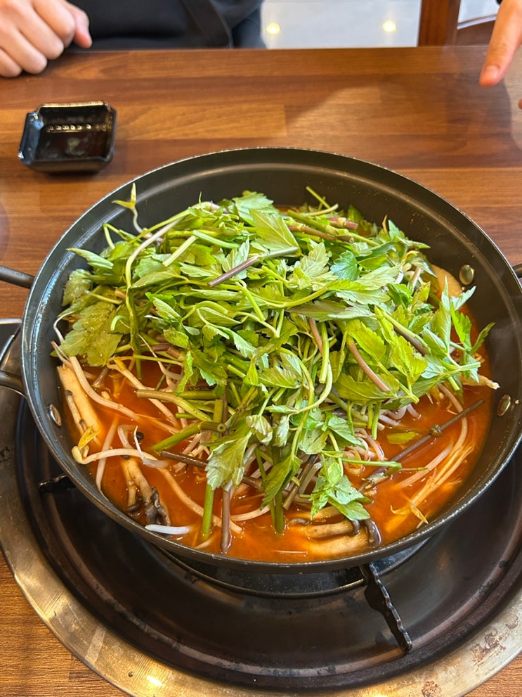  각산동맛집 대산얼큰샤브편백 반야월점 | 얼큰한 동촌샤브칼국수 솔직 후기