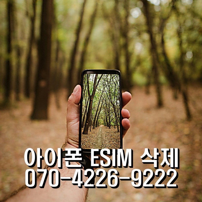 아이폰 ESIM 삭제 시월모바일과 함께하는 재설치 & 듀얼심 활용팁