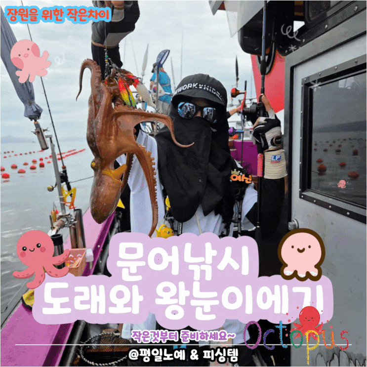  문어 낚시 도래 왕눈이 에기 선택 방법