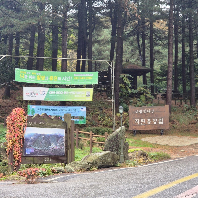 너무 좋아 재방문한 자연휴양림 _ 청태산자연휴양림 / 연립동 자카르타 방문후기