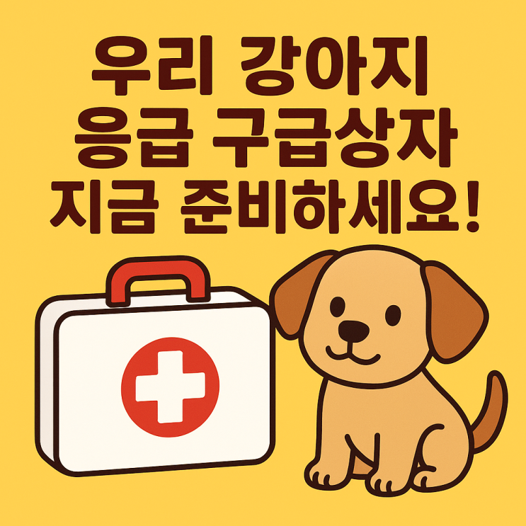   강아지 응급 구급상자 준비법 — 위급한 순간, 단 1분이 생명을 살린다