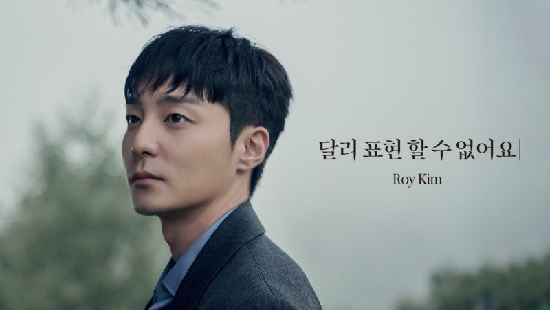 로이킴 - 달리 표현할 수 없어요 뮤비 듣기 가사 라이브