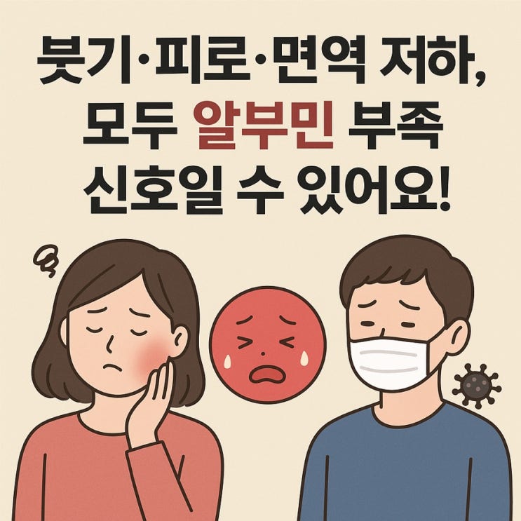  ️ 알부민 부족 증상 총정리｜붓기부터 면역력 저하까지!