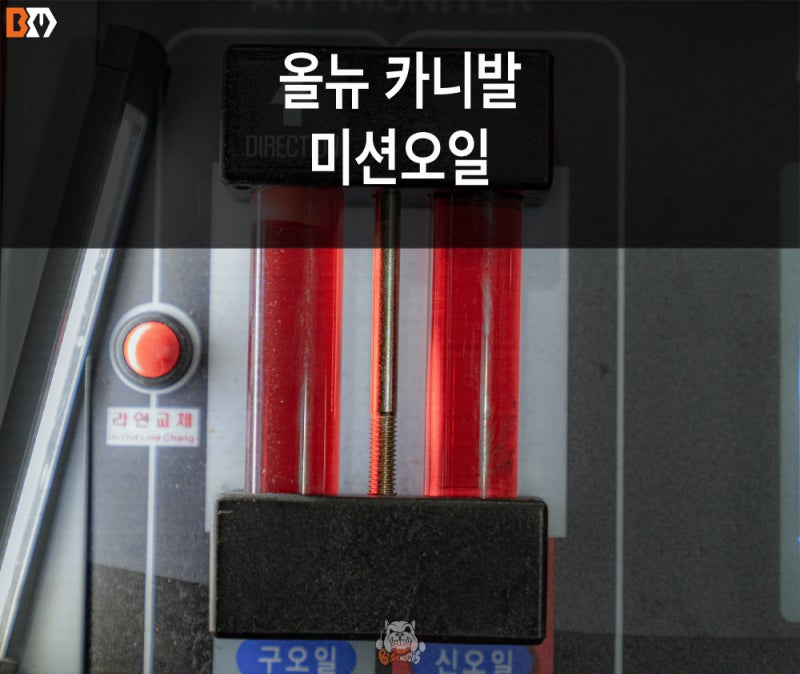 YP 올뉴 카니발 2.2디젤 - 순환식 미션오일 교환 작업