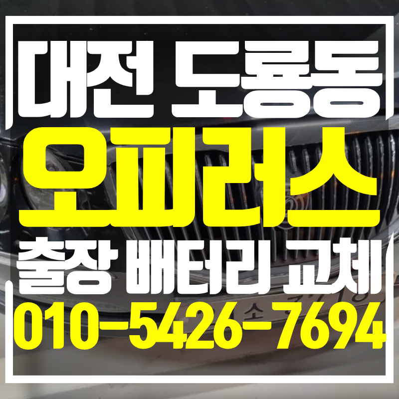 대전 유성구 도룡동 배터리 오피러스 출장 교체