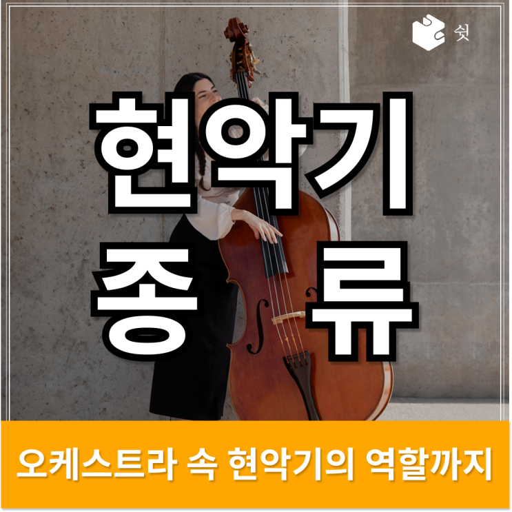  현악기 종류 완벽 해부, 소리의 결이 다르다는 걸 느껴보세요