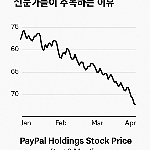 페이팔홀딩스 주가 최근 3개월 부진 속에서도 전문가들이 주목하는 이유