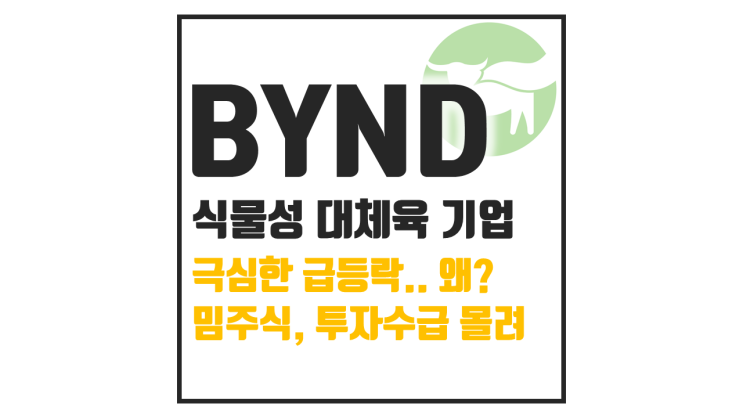  비욘드미트(BYND) 분석: 밈주식 열풍 속 펀더멘털 리스크까지