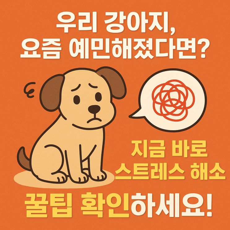  강아지 스트레스 해소법 완전정리! 증상부터 마음 안정시키는 꿀팁까지