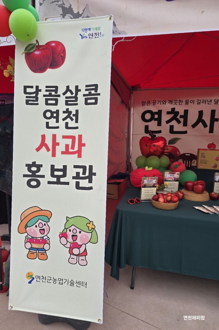  연천사과 연천율무축제 달콤상콤 연천사과홍보관