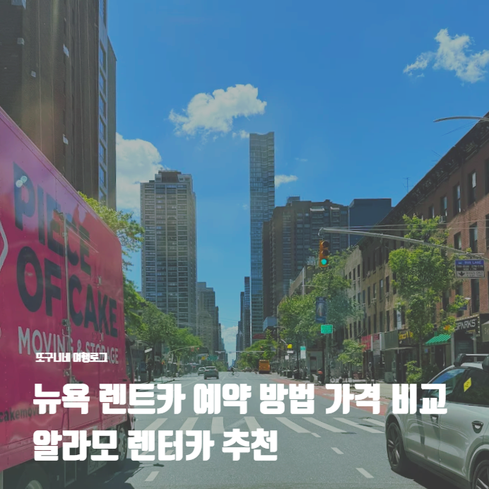  뉴욕 렌트카 예약 방법 가격 비교 알라모 렌터카 추천