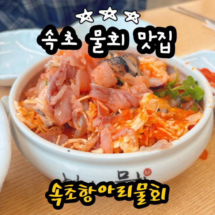  속초 막국수 맛집 보다 속초항아리물회