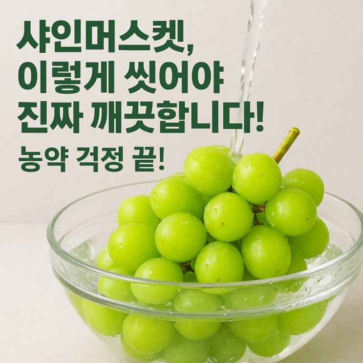  샤인머스켓 세척법｜농약 걱정 없이 깨끗하게 먹는 방법과 꿀팁 