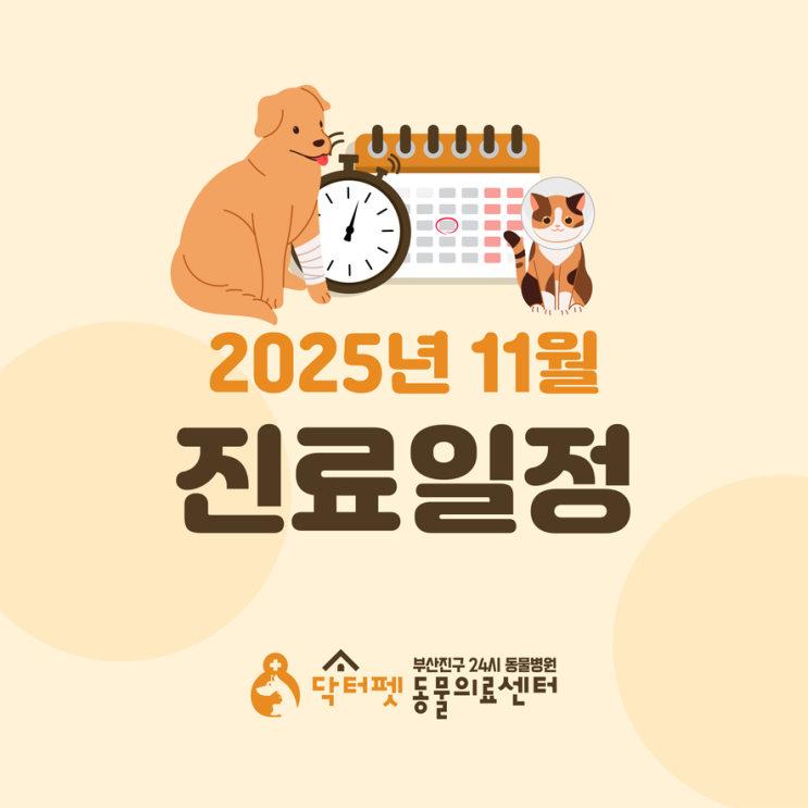  닥터펫동물의료센터 2025년 11월 진료진 일정 안내 개금역 2번 출구 부산 24시 동물병원
