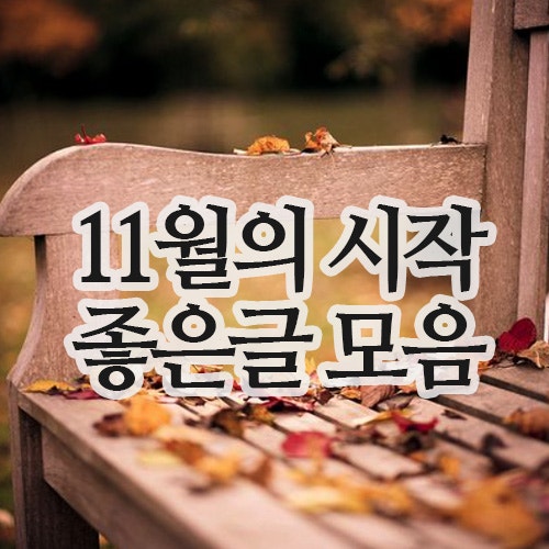  11월의 시작, 좋은글 이미지 : 짧고 좋은 글귀 배경