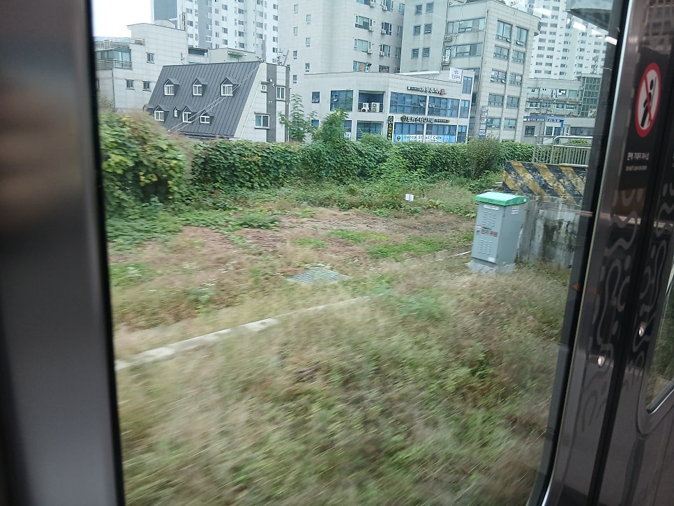 봉평메밀막국수 사진 4