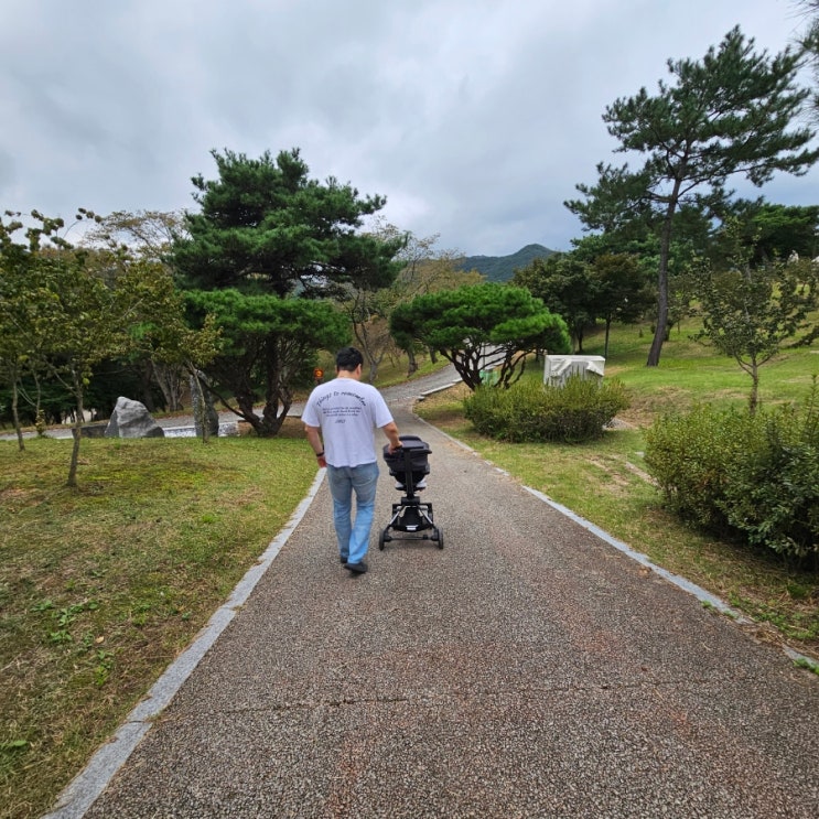  장성 가볼만한곳 장성호관광지 장성호문화예술공원