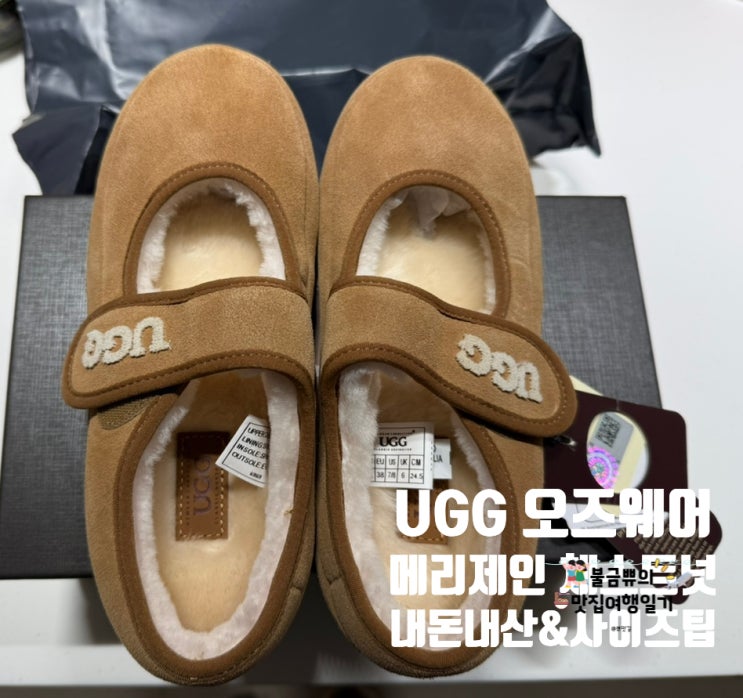  [올겨울 신발] 25FW 어그 오즈웨어 메리제인 체스트넛 내돈내산 후기 & 사이즈 팁