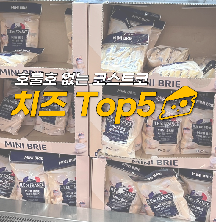  코스트코 치즈 추천, 직접 먹어보고 고른 top5