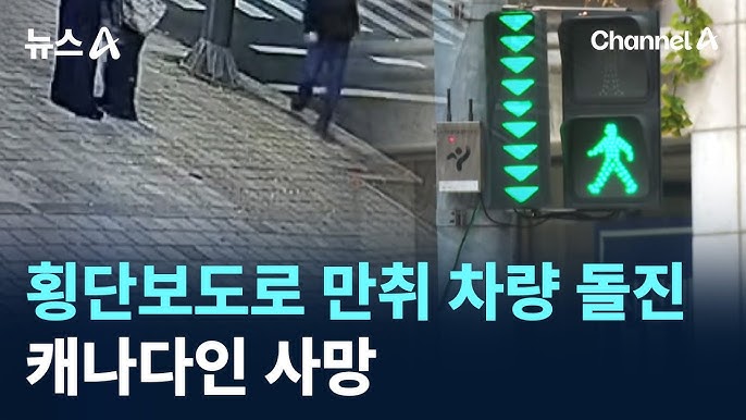 <b>강남</b> 만취 차량 횡단보도... 덮쳐…30대 <b>캐나다인 사망</b>, 20대... 