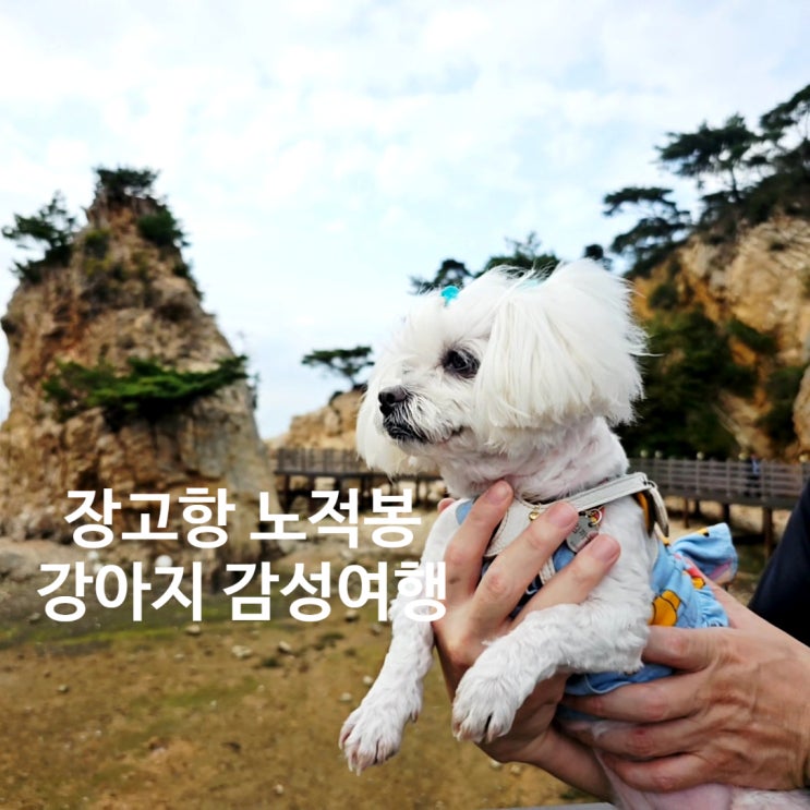  서해의 숨은 명소 장고항, 바다와 바위가 어우러진 노적봉