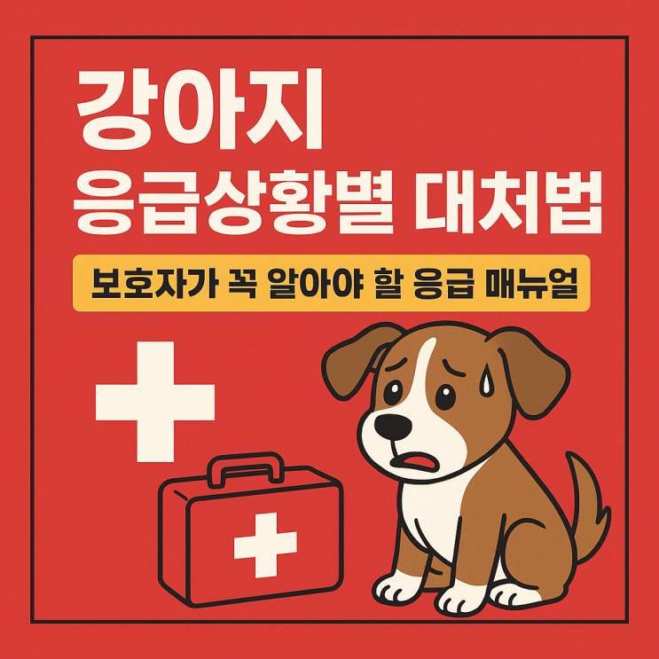   강아지 응급상황별 대처 매뉴얼 (출혈·골절·호흡곤란 등)