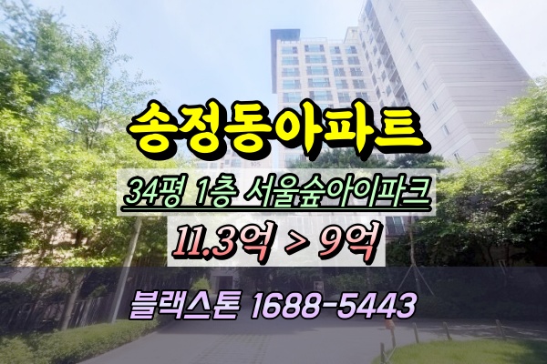  송정동 서울숲아이파크 아파트 경매 1층 34평