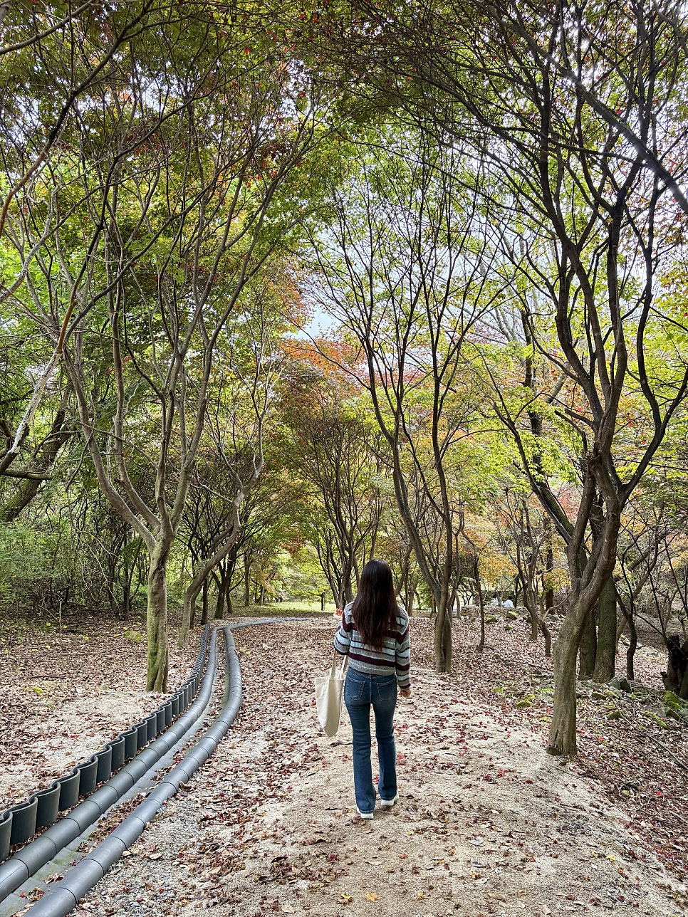 Jilgogaessambap photo 5
