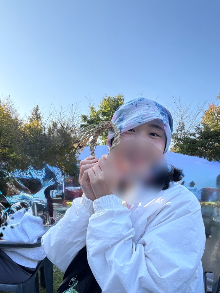  건강한 돼지가 되어가는 중 10/20 - 10/28