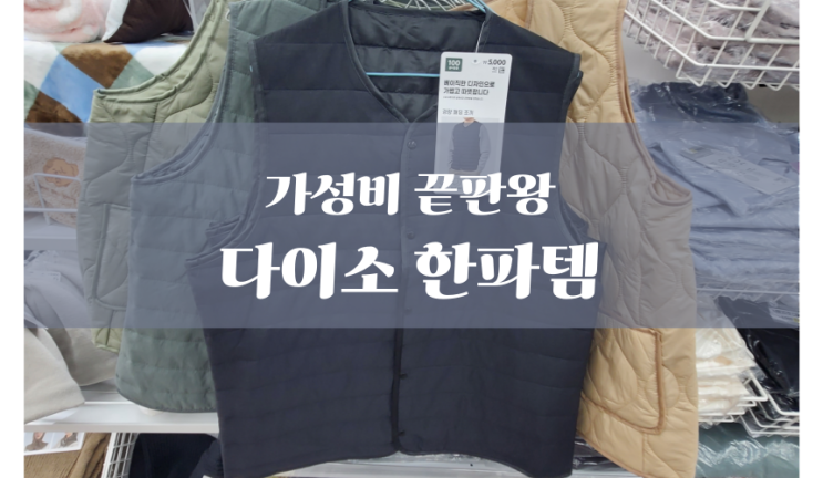 가성비 끝판왕 다이소 한파템｜후리스·조끼·실내화로 오늘 사서 오늘 따뜻