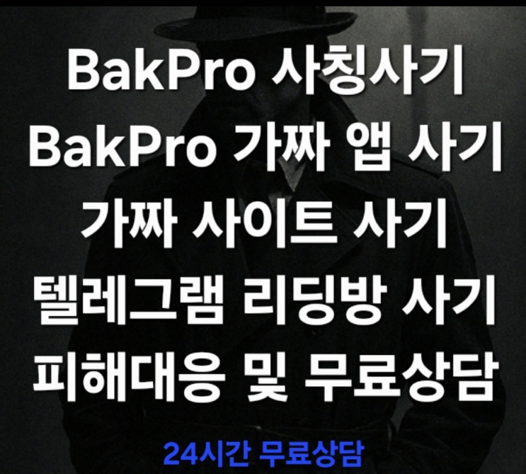  BakPro 사칭사기, 가짜 앱을 이용한 정교한 투자 사기 피해대응 및 각종 투자 사기 무료상담 진행