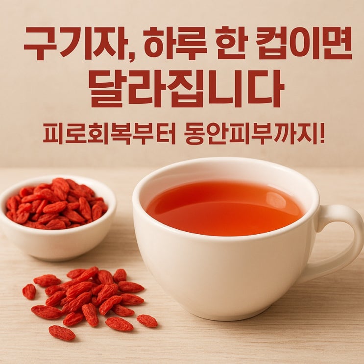  구기자 효능 총정리｜피로회복부터 눈 건강까지, 매일 챙겨야 하는 이유