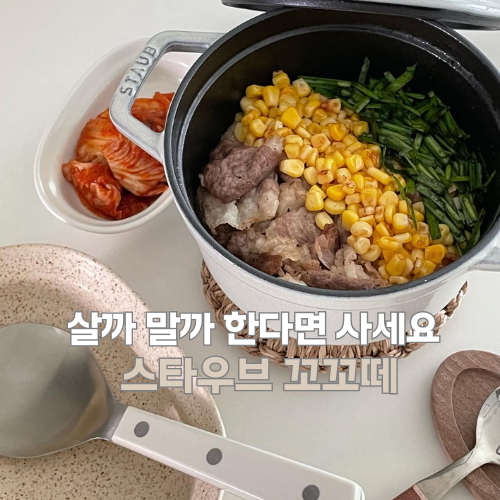 스타우브 꼬꼬떼 18 사용후기 살까 말까 한다면 사세요