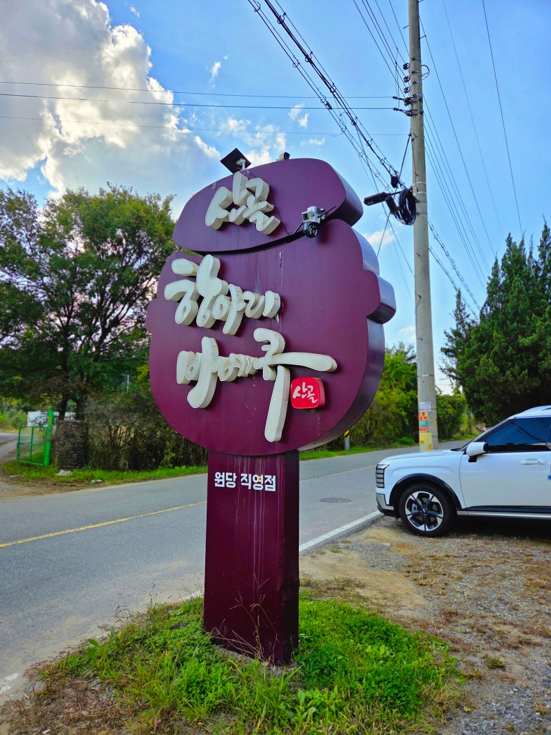 사진 6