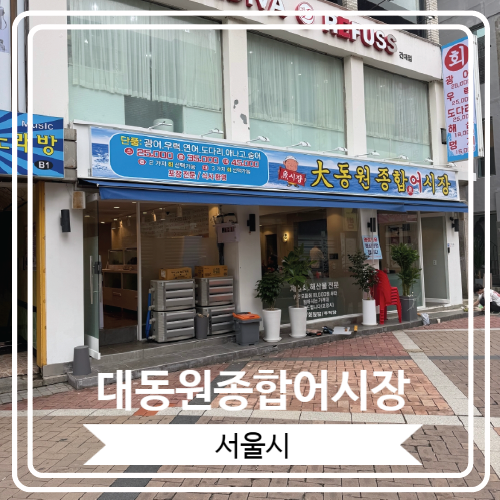  [대동원종합어시장] 건대입구역 신규 오픈 한 가성비 좋은 횟집