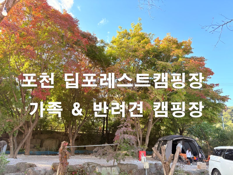 딥포레스트캠핑장
