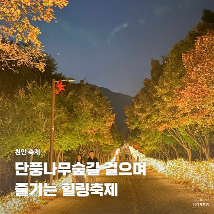  천안 독립기념관 단풍나무숲길 힐링축제 야간개장 기본정보 애견동반