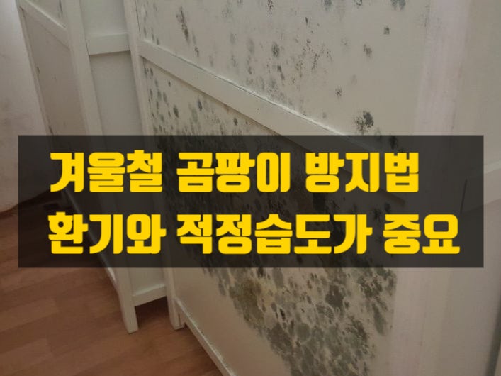  겨울철 난방비 아끼면서 곰팡이 없이 사는 법, 가구뒤 곰팡이 원인?