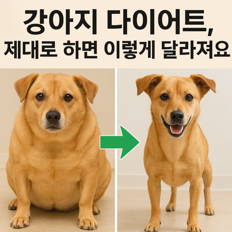   강아지 체중관리 & 다이어트 완벽 가이드ㅡ건강한 몸무게, 행복한 반려생활의 시작!