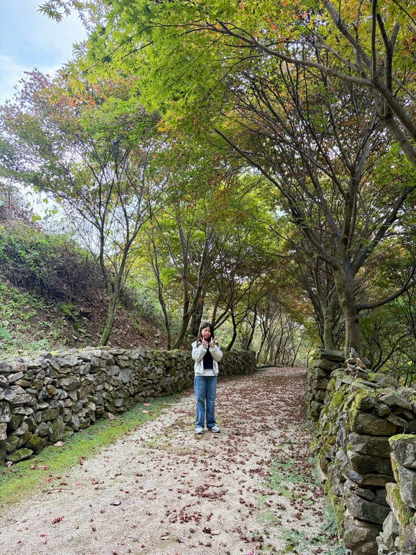 Jilgogaessambap photo 3