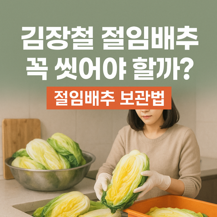  김장철 절임배추, 꼭 씻어야 할까? 절임배추 보관법