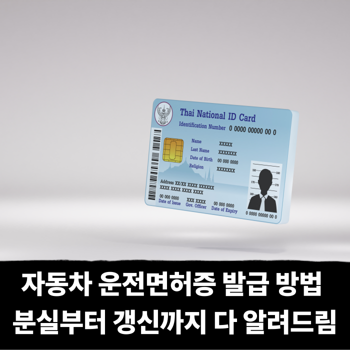  자동차 운전면허증 발급 방법, 어디 기관에서 하나? 분실부터 갱신까지 다 알려드림