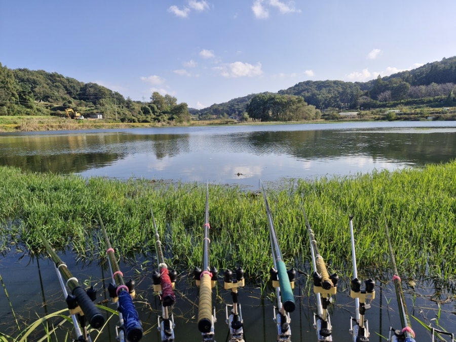 도천제 사진 1
