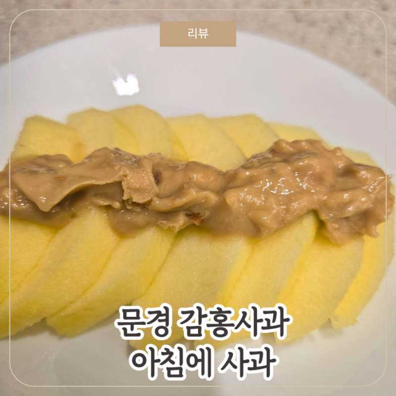 문경 감홍사과 시즌 수확시기 보관법 아침에 사과