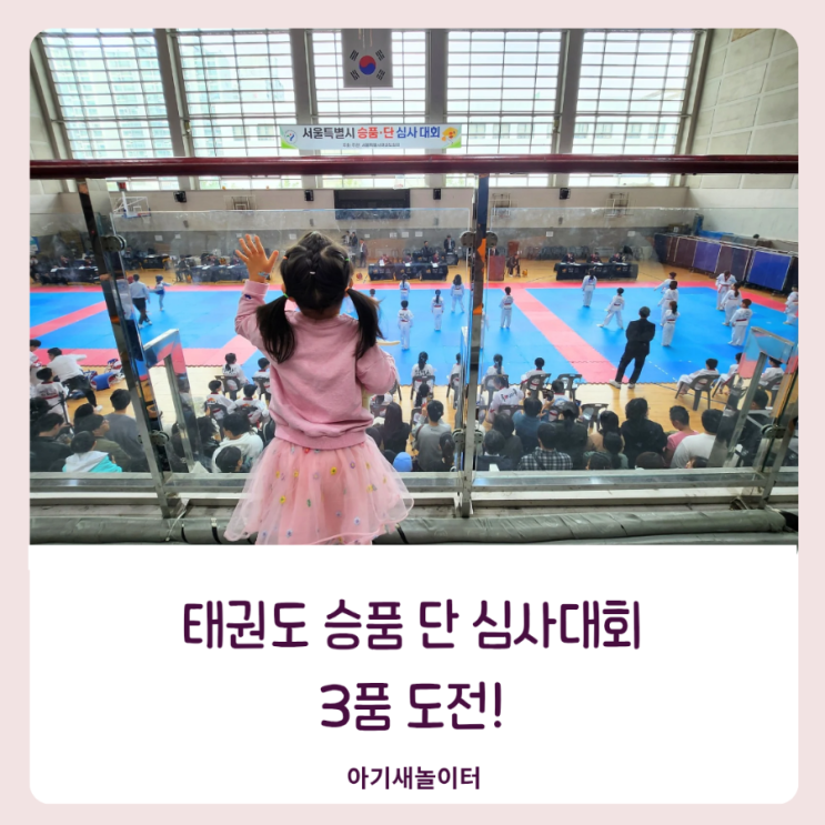  국기원 태권도 3품 심사대회