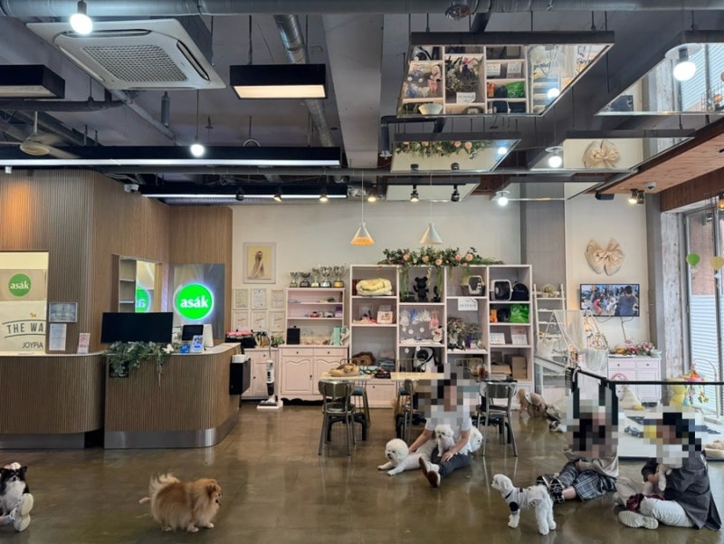 더왈츠 앤 조이피아 강남
